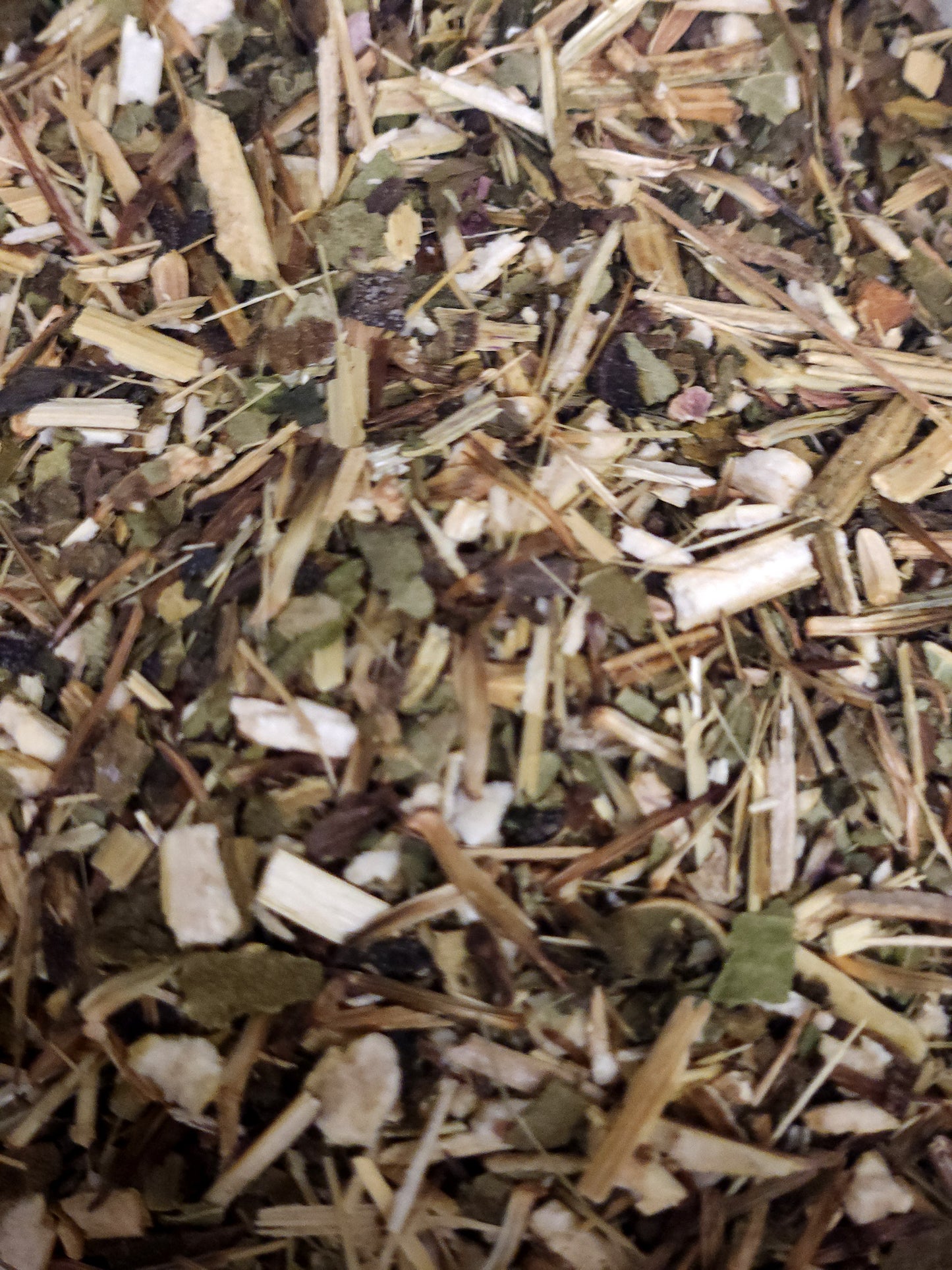 Eucalyptus (Eucalyptus globulus)