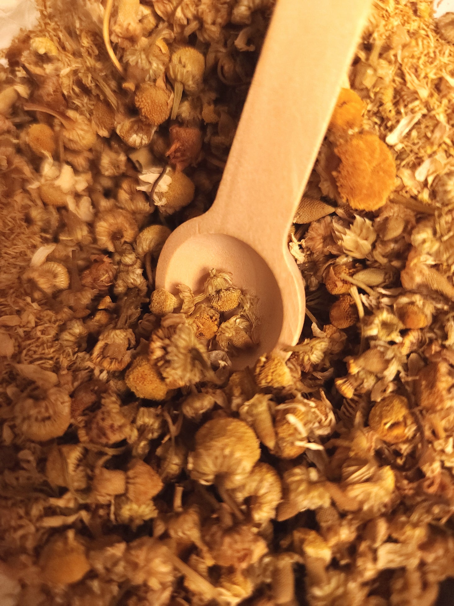 Chamomile (Matricaria chamomilla)