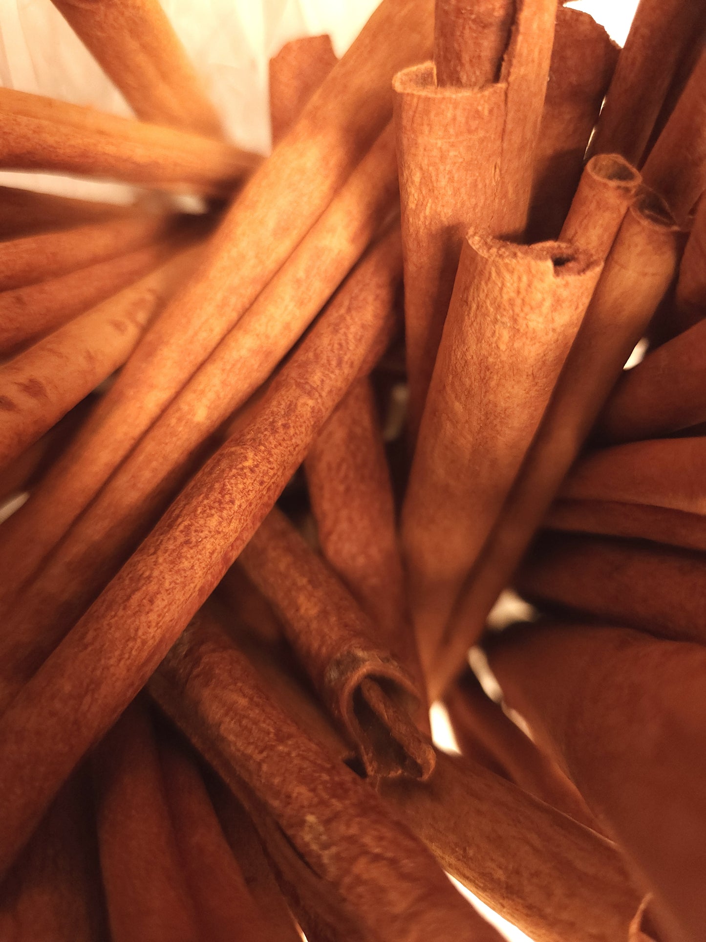 Cinnamon Sticks (Cinnamomum verum)