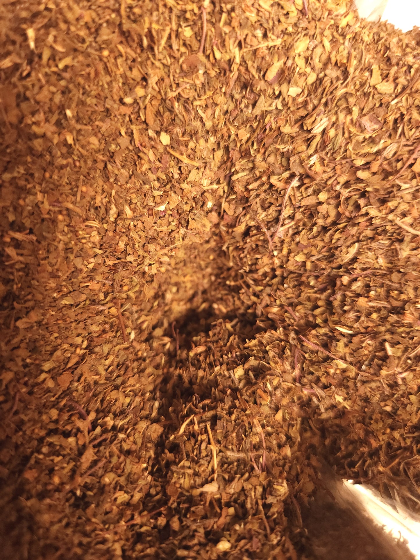 Tulsi (Holy Basil) (Ocimum sanctum)