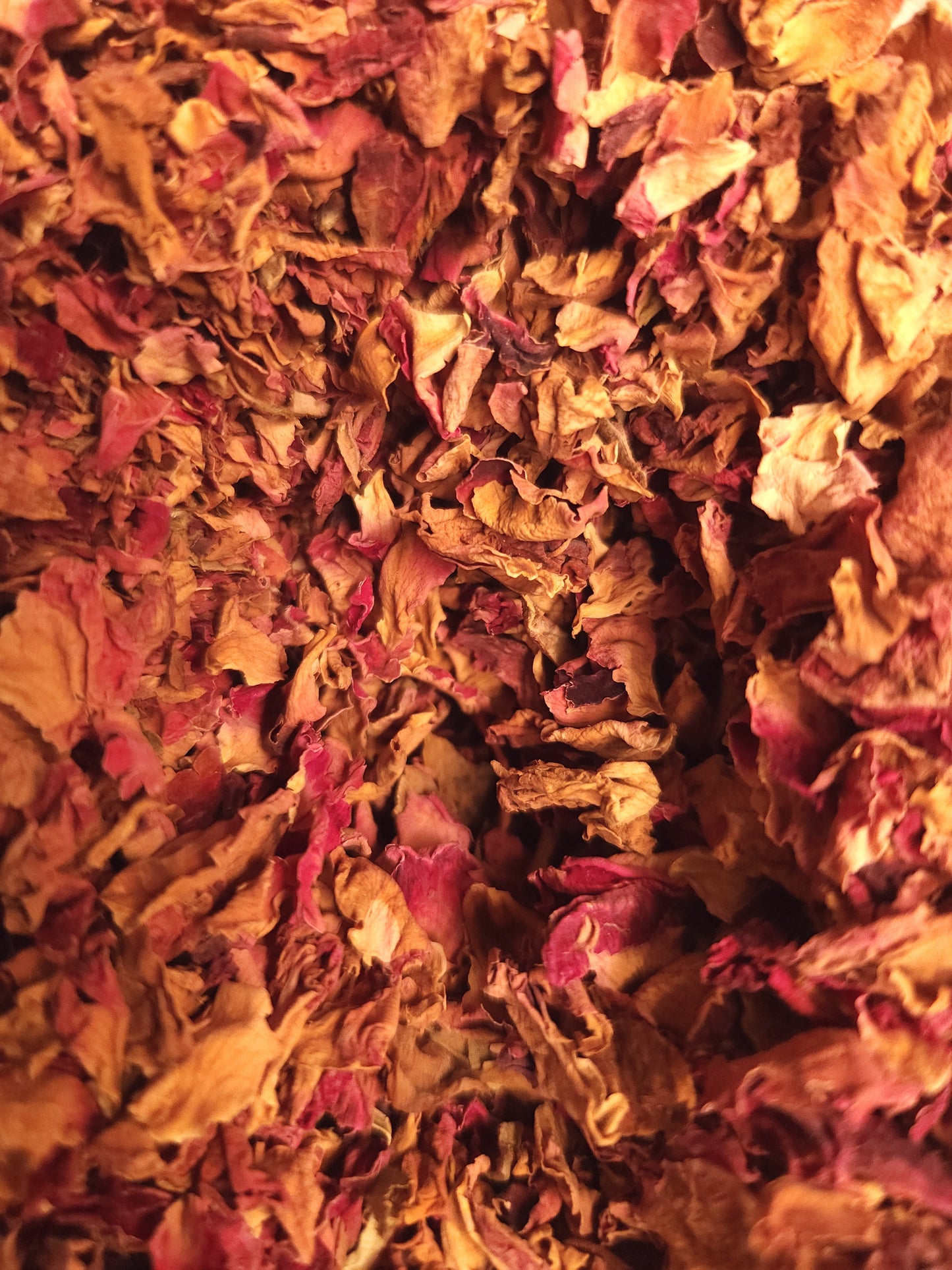 Rose Petals (Rosa spp.)