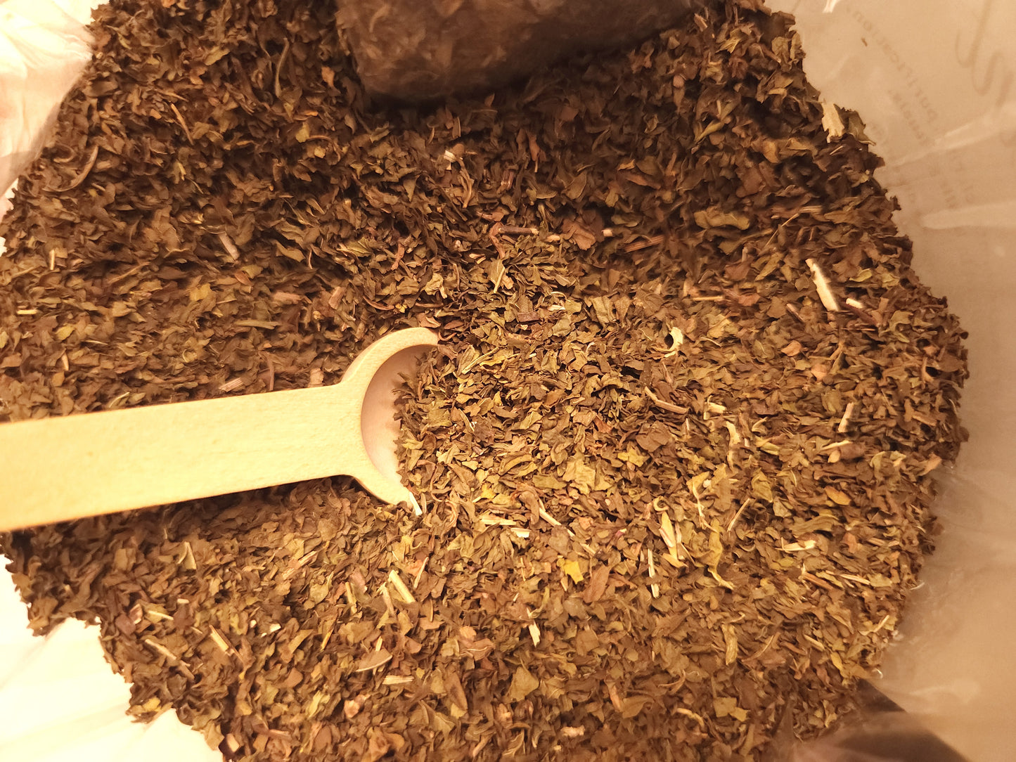 Spearmint (Mentha spicata)