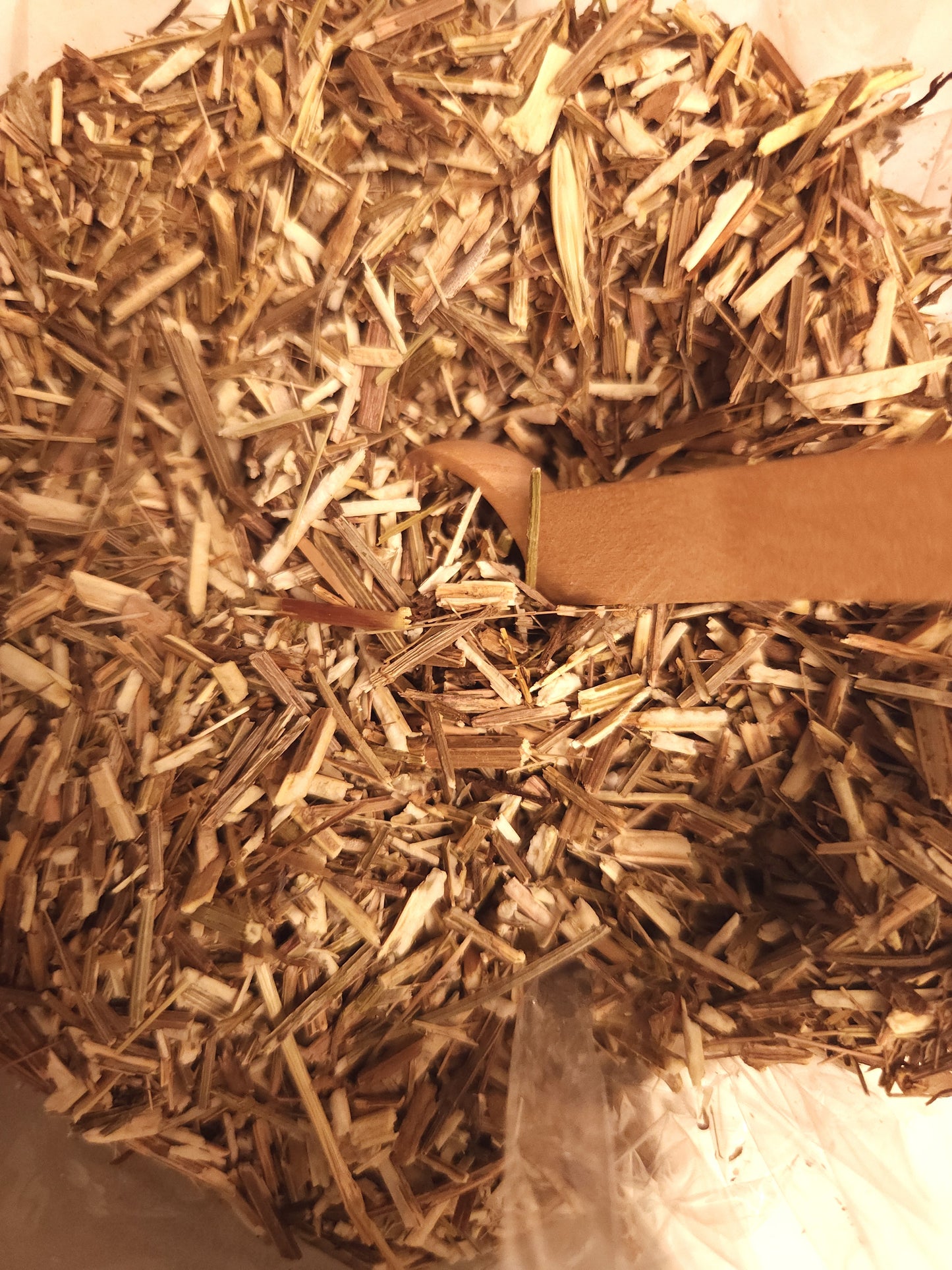 Vervain (Verbena officinalis)