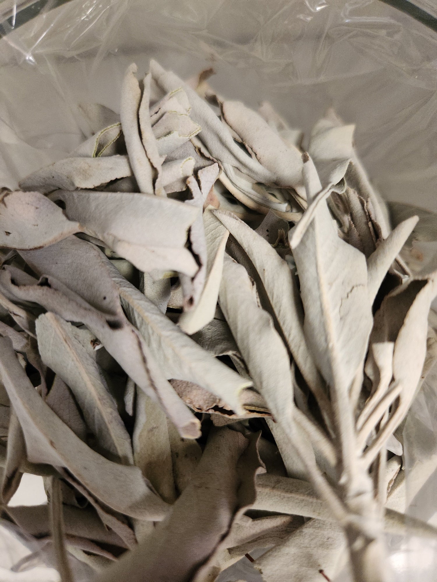 White Sage & Assorted Smudges
