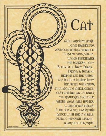 Cat Prayer Poster