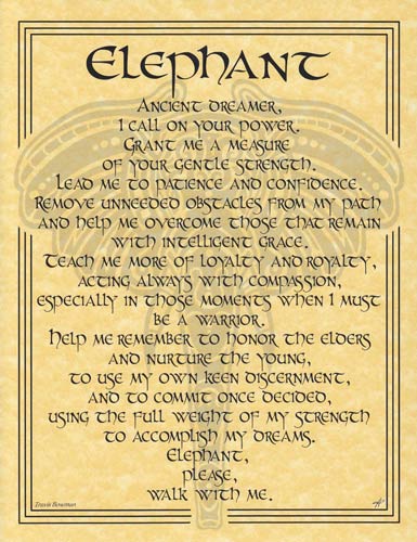 Elephant Prayer Poster