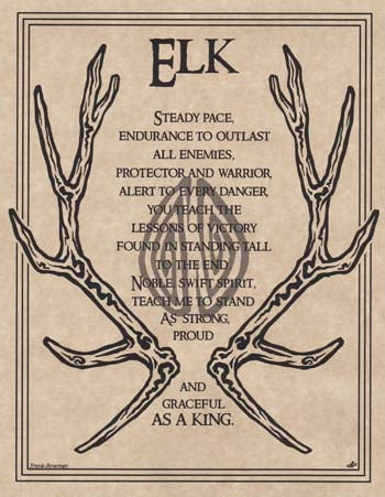 Elk Prayer Poster