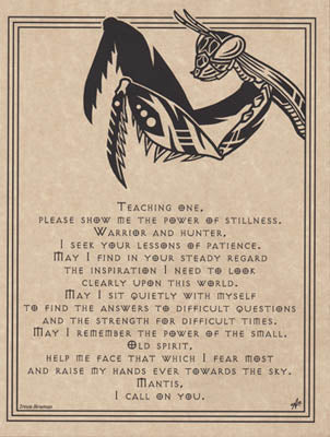 Mantis Prayer Poster