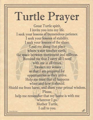 Turtle Prayer Poster