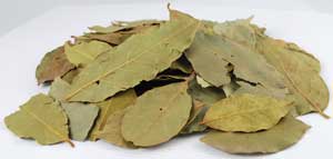 Bay Leaves Whole 1oz  (laurus Nobilis)