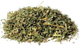 Catnip Cut 1oz  (nepeta Cataria)