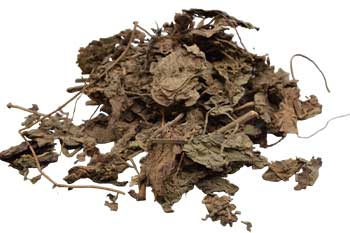 Patchouli Leaf Wh 1oz