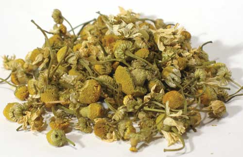 Chamomile Flower 2oz (egyptian) (matricaria)