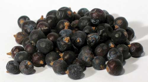 1 Lb Juniper Berries Whole (juniperus Communis)