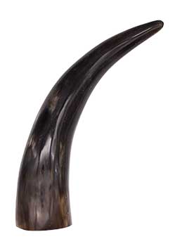 9" Horn End