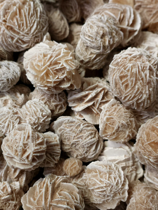 Desert Rose (Selenite with Gypsum)