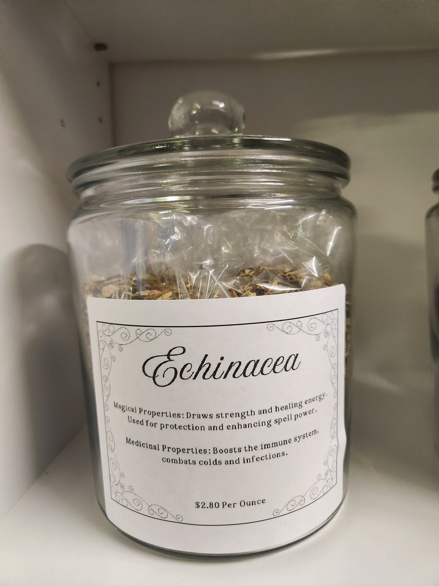 Echinacea (Echinacea purpurea)