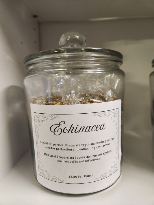 Eucalyptus (Eucalyptus globulus)