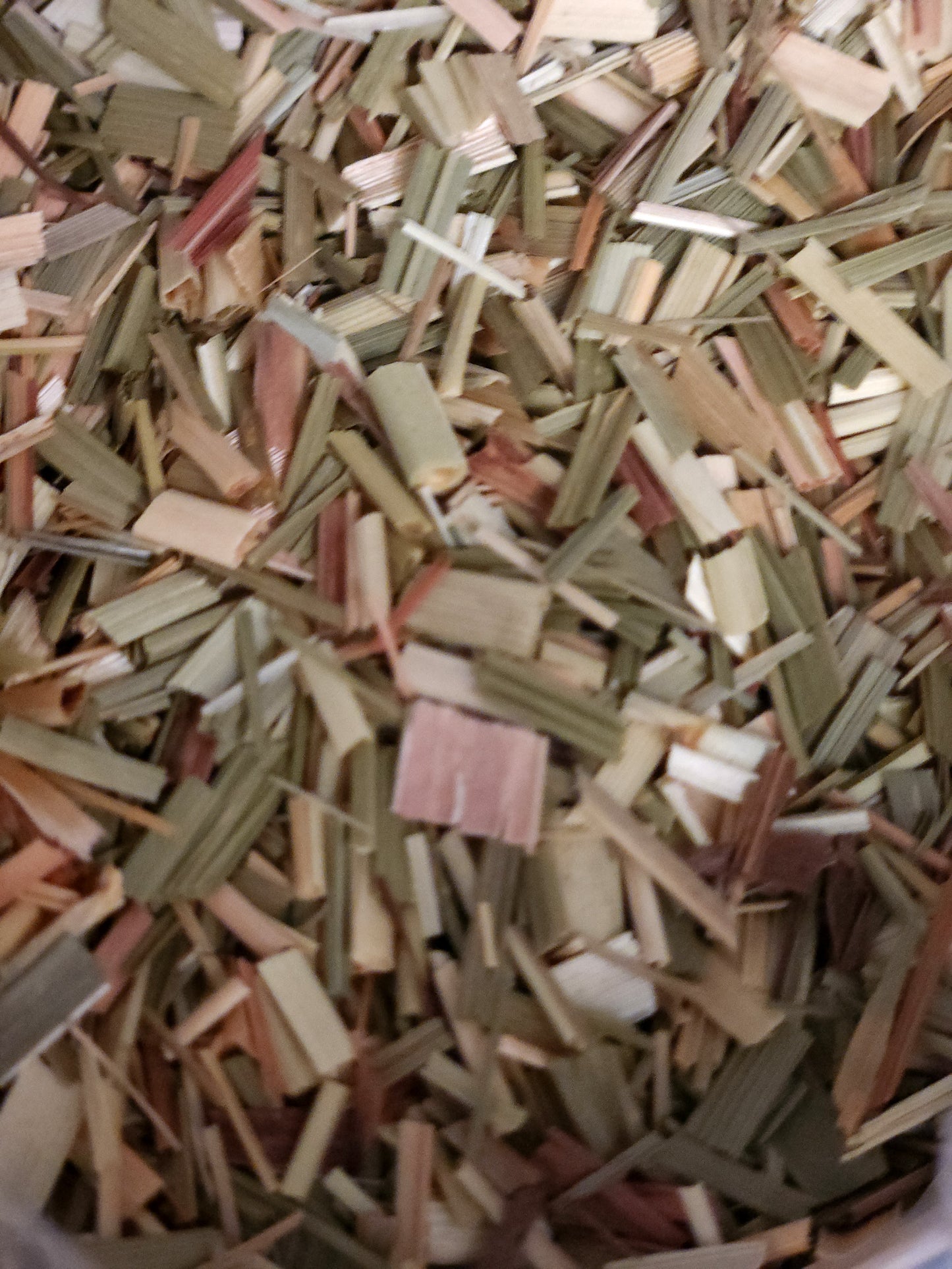 Lemongrass (Cymbopogon citratus)