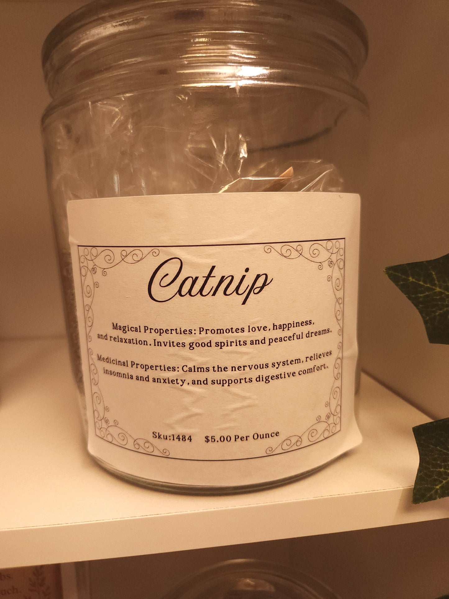 Catnip (Nepeta cataria)