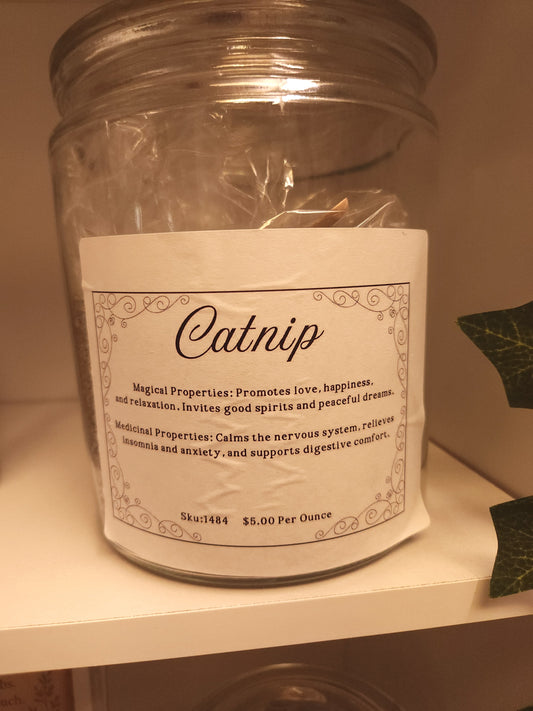 Catnip (Nepeta cataria)