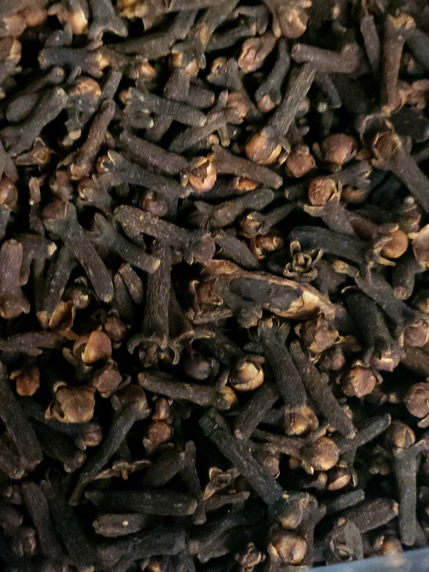 Cloves (Syzygium aromaticum)