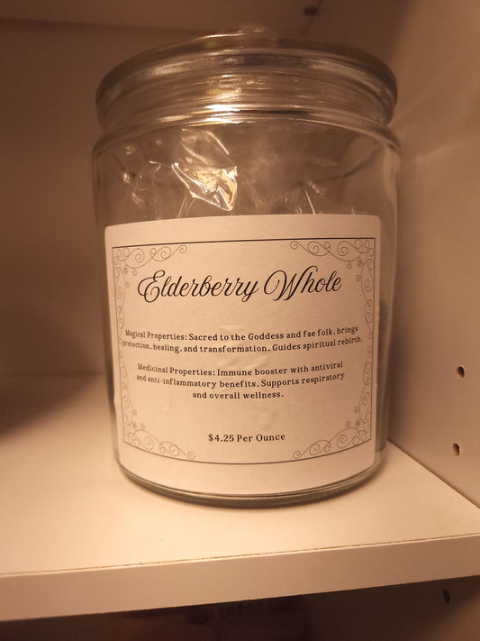 Elderberry (Sambucus nigra)