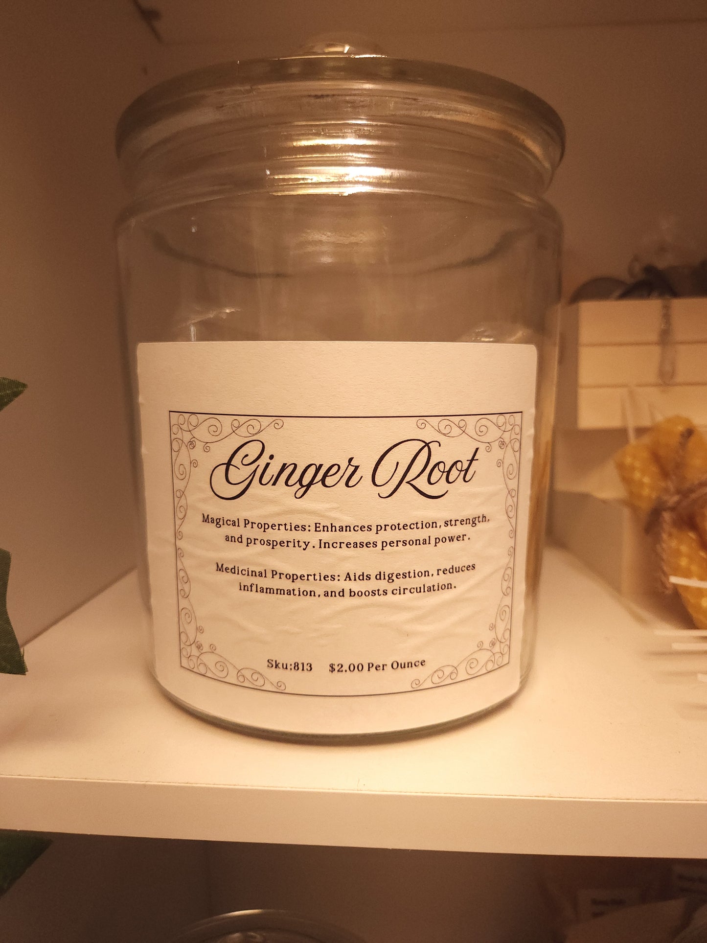 Ginger Root (Zingiber officinale)