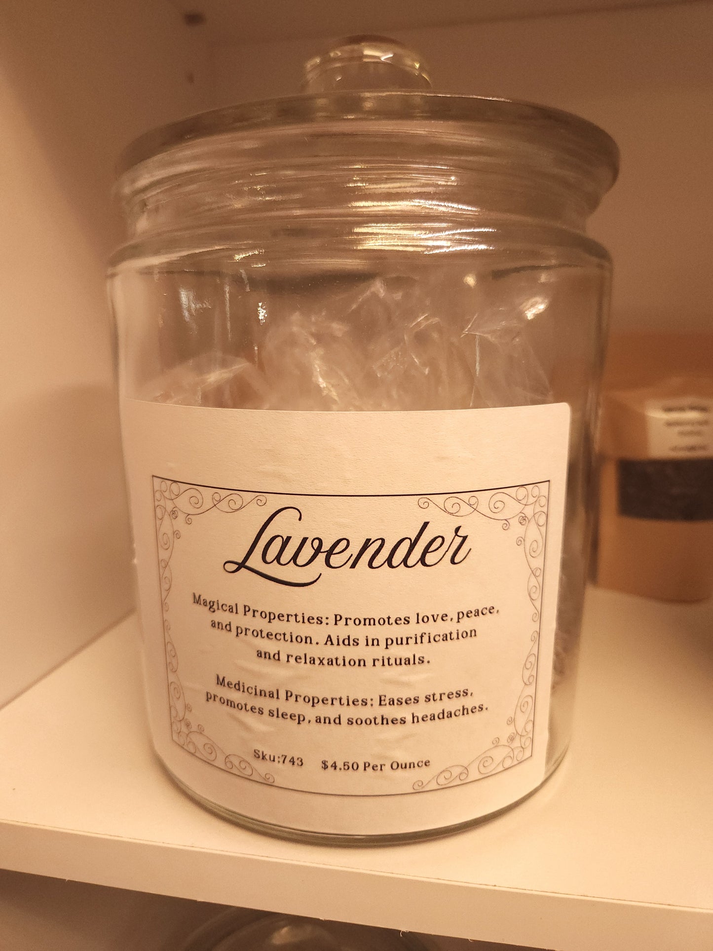 Lavender (Lavandula angustifolia)