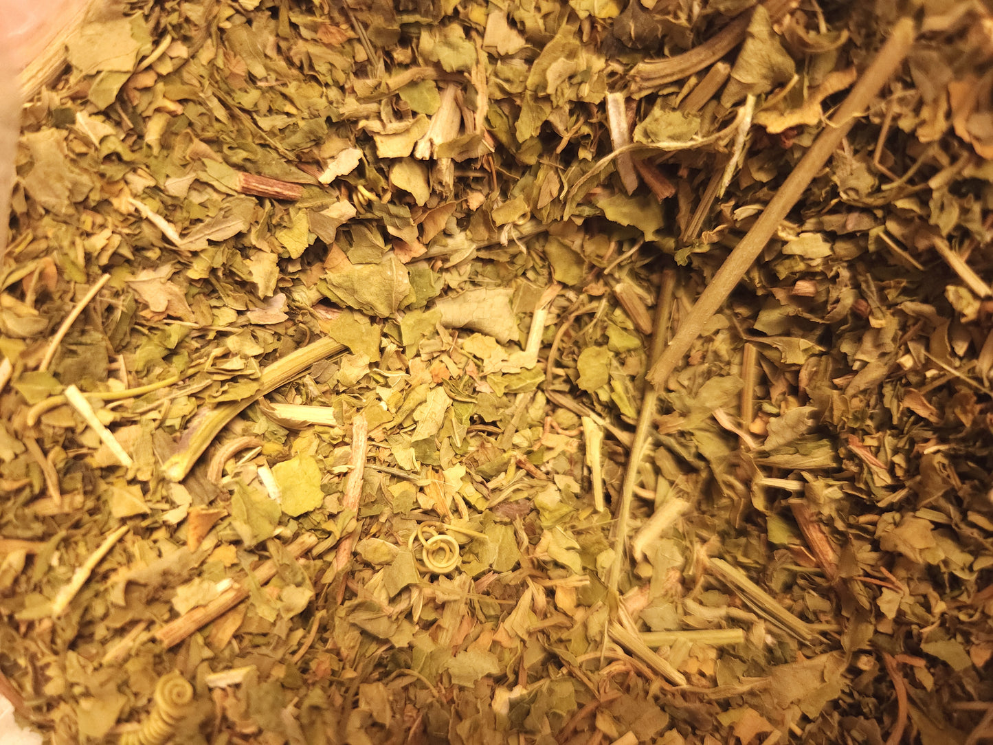 Passion Flower (Passiflora incarnata)