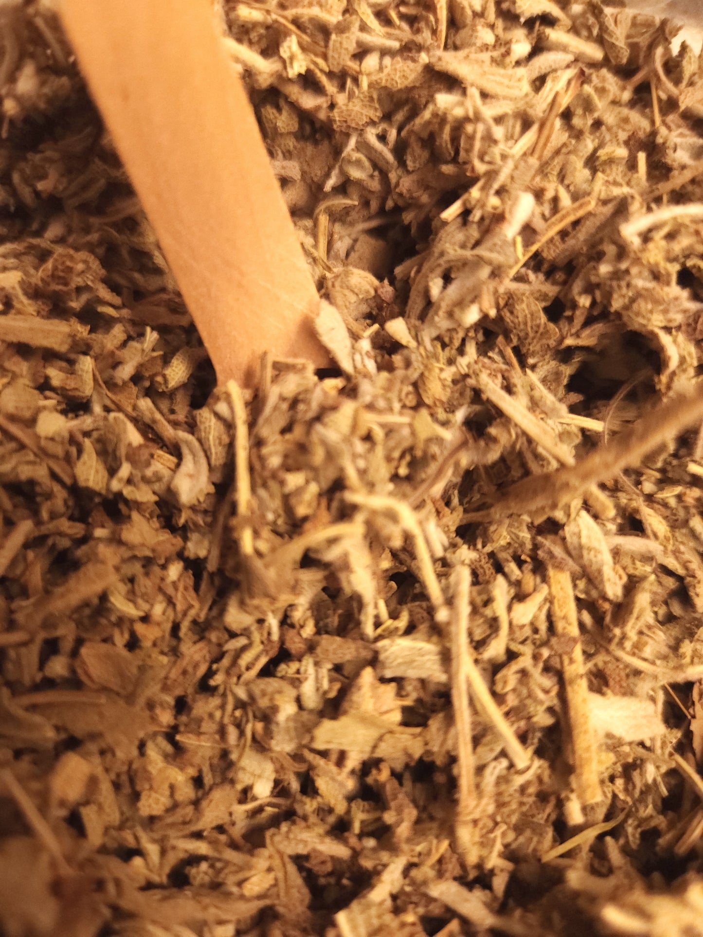 Sage (Salvia officinalis)