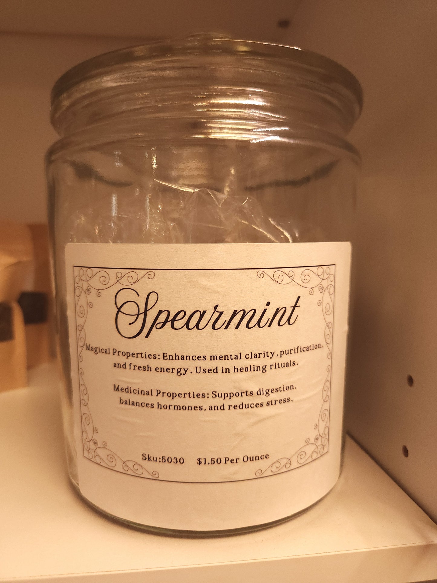 Spearmint (Mentha spicata)