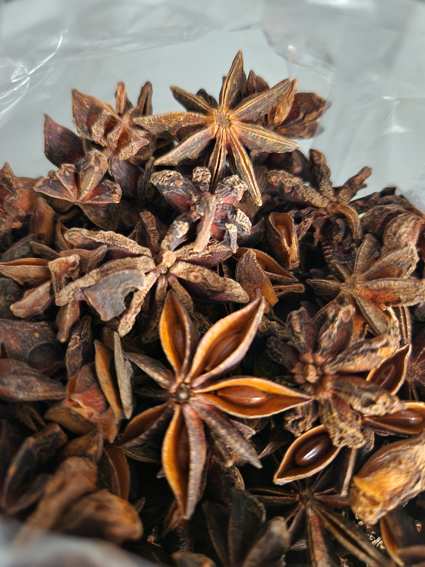Star Anise (Illicium verum)