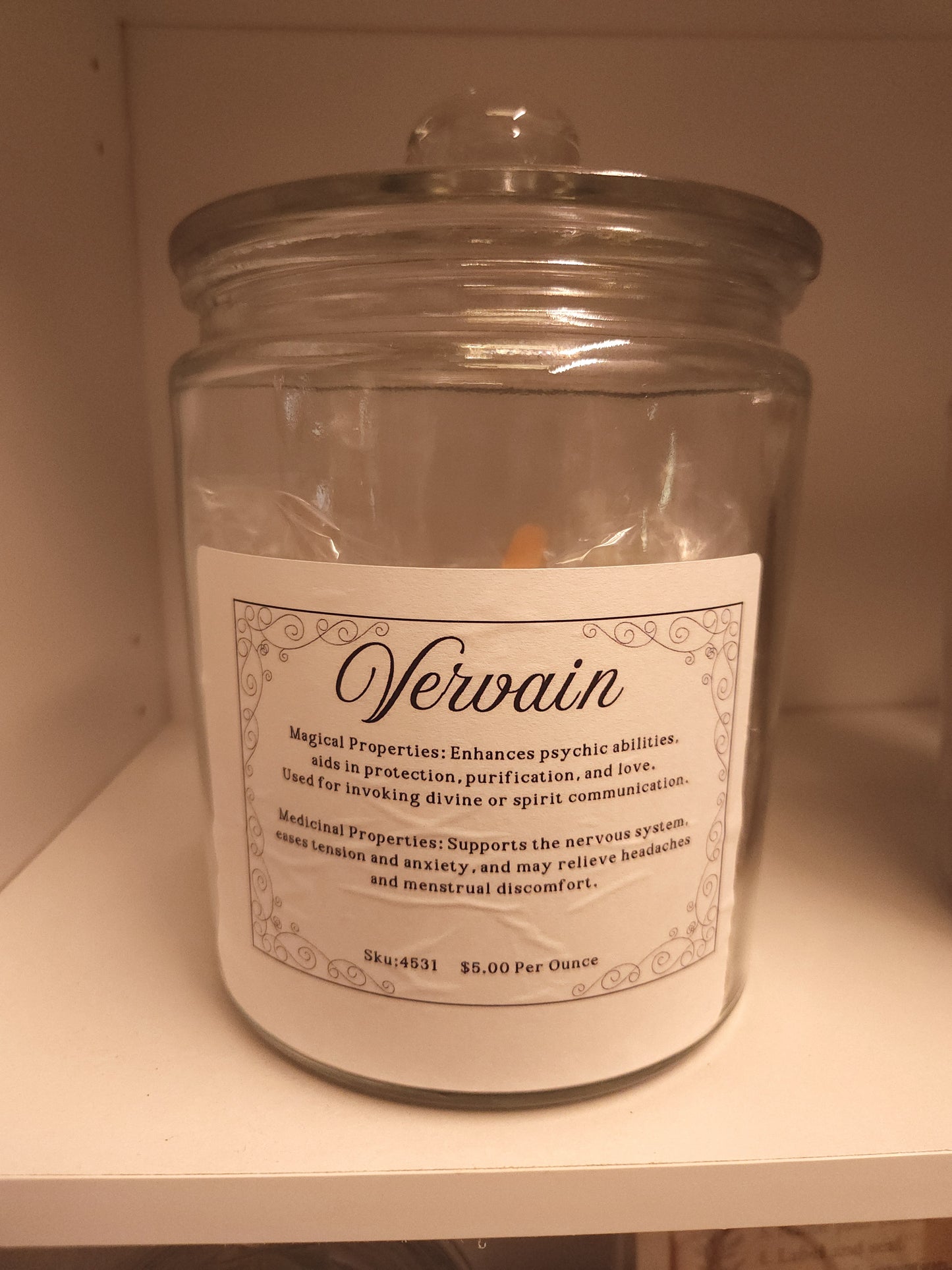 Vervain (Verbena officinalis)