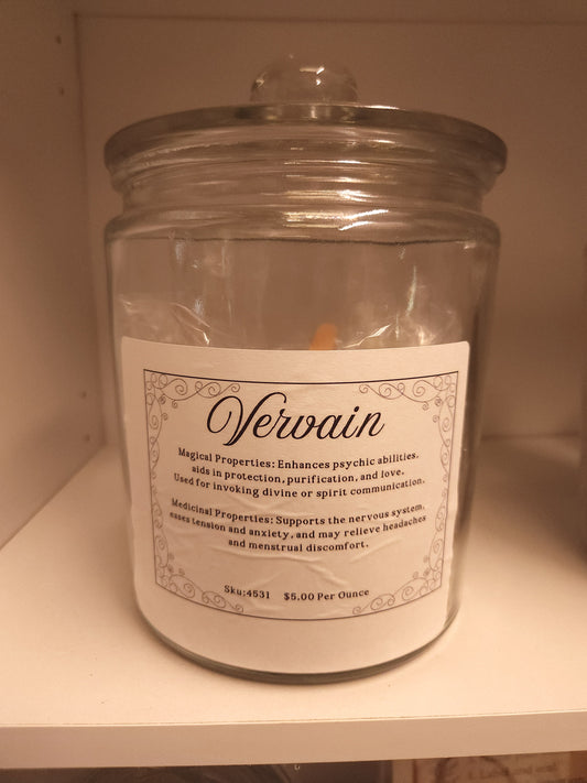 Vervain (Verbena officinalis)